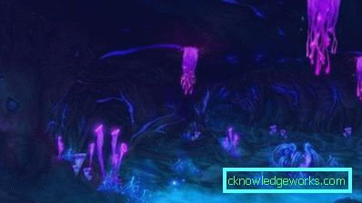 3D тапети за стени - снимка за всекидневна