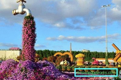 50-дизайнерски цветни лехи в къщата
