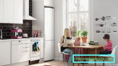 Как да подредите хладилника в интериора Как да подредите хладилника в интериора