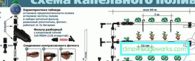 Капково напояване в оранжерията: устройството и предимствата на системата Капково напояване в оранжерията: устройството и предимствата на системата