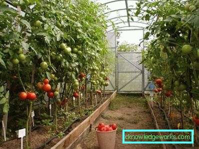 170 целогодишна оранжерия