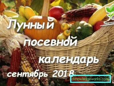 202-лунен календар за градинари