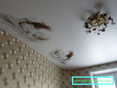 Простри тавани - 200 снимки на тавани във вътрешността на кухнята