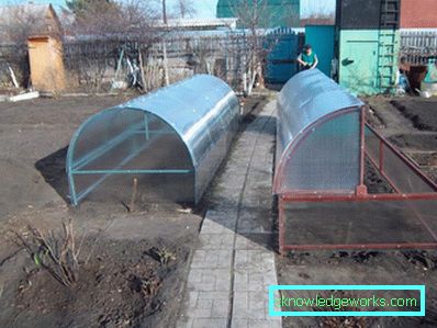Парникови: видовете и структурата на устройството Парникови: видовете и структурата на устройството