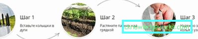 Парникови Парникови