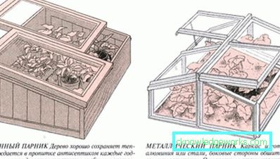 Как да направим оранжерия за растенията? Как да направим оранжерия за растенията?