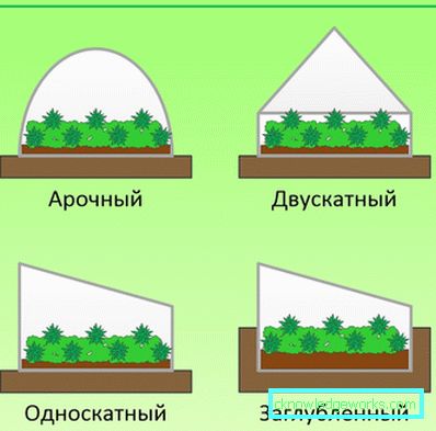 Как да направим оранжерия за растенията? Как да направим оранжерия за растенията?
