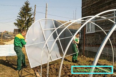 Каква е разликата между оранжерия и оранжерия? Каква е разликата между оранжерия и оранжерия?