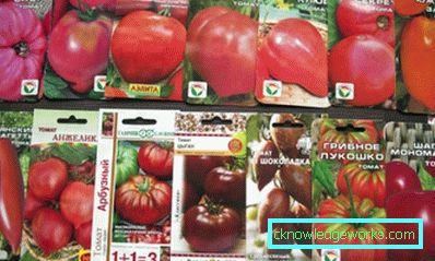 178-Засаждане на домати на открито