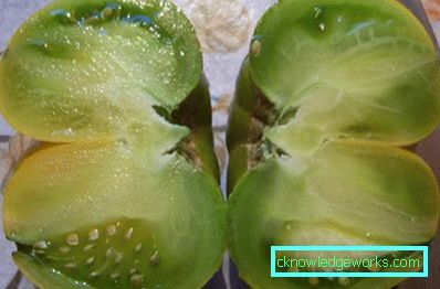 33-Най-вкусно и плодотворно зелено