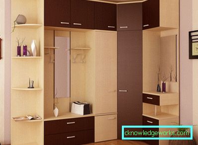 Гардероб в коридора - най-модерните тенденции. 110 снимки в интериора на коридора