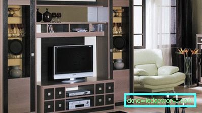 Стената в хола - 100 снимки на най-добрите стени във вътрешността на хола Стената в хола - 100 снимки на най-добрите стени във вътрешността на хола