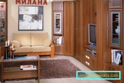 Стената в хола - 100 снимки на най-добрите стени във вътрешността на хола