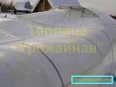 Парникови Парникови