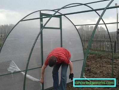 Парникови Парникови