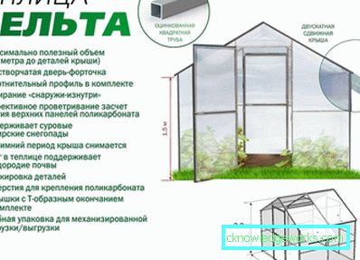 Оранжерии Оранжерии