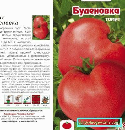 55 Домат буденовка