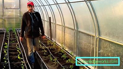 Интелигентна оранжерия: характеристики на дизайна и етапи на автоматизация Интелигентна оранжерия: характеристики на дизайна и етапи на автоматизация