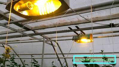 Интелигентна оранжерия: характеристики на дизайна и етапи на автоматизация Интелигентна оранжерия: характеристики на дизайна и етапи на автоматизация